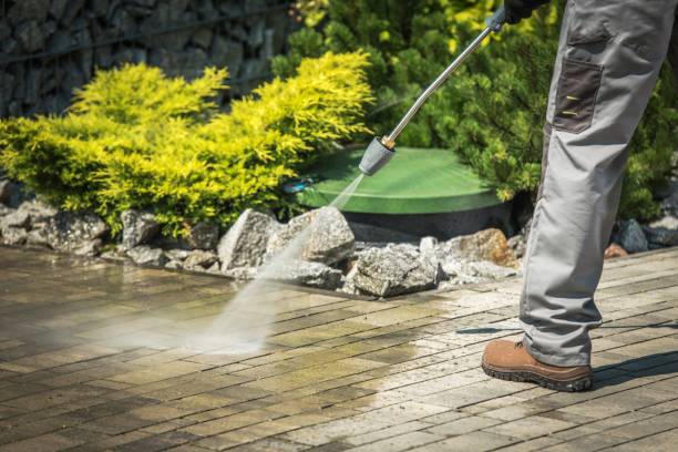 Best Animal Enclosure Cleaning  in Hallsville, MO