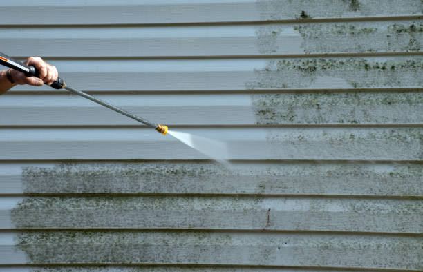 Trusted Hallsville, MO Pressure Washing Services Experts