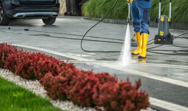 Best Gutter Cleaning  in Hallsville, MO